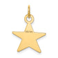 14k Yellow Gold 14K Star Disc Charm