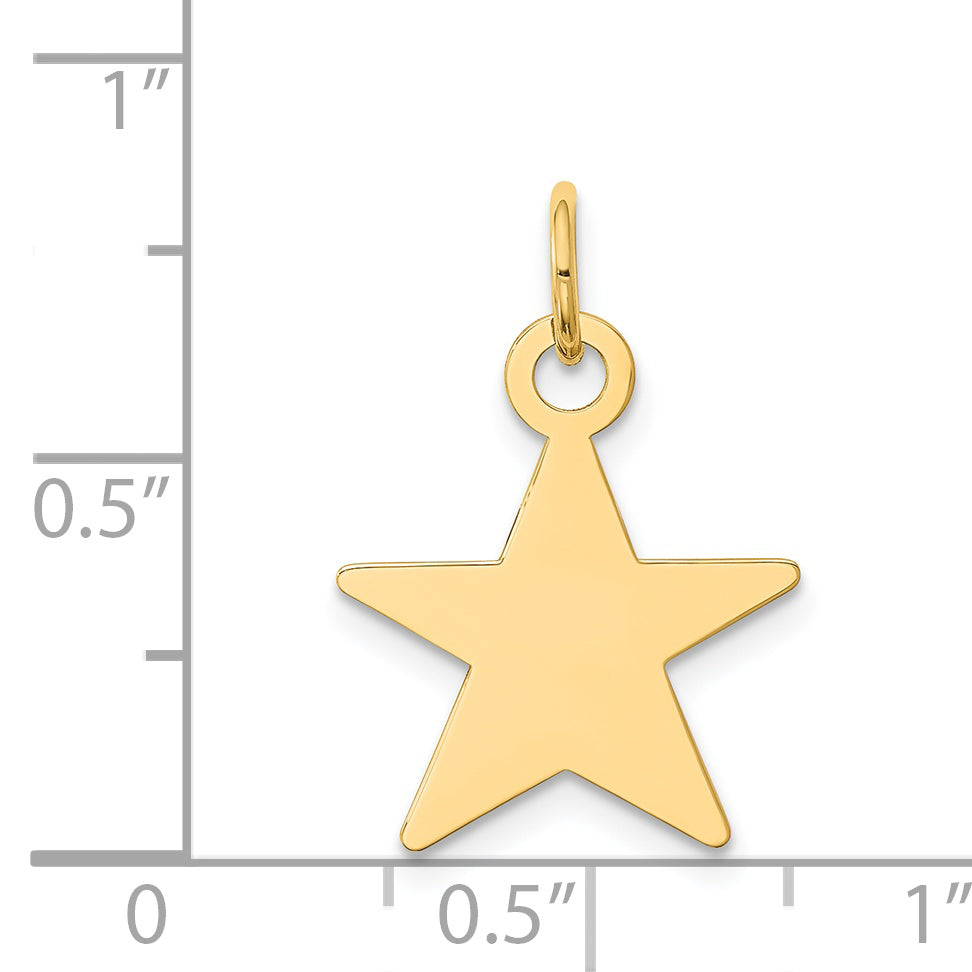 14k Yellow Gold 14K Star Disc Charm