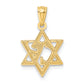 14k Yellow Gold 14k Star of David Pendant