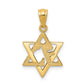 14k Yellow Gold 14k Star of David Pendant