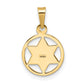 14k Yellow Gold 14k Polished Solid Enameled Star of David in Frame Pendant