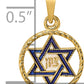 14k Yellow Gold 14k Polished Solid Enameled Star of David in Frame Pendant