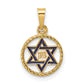 14k Yellow Gold 14k Polished Solid Enameled Star of David in Frame Pendant