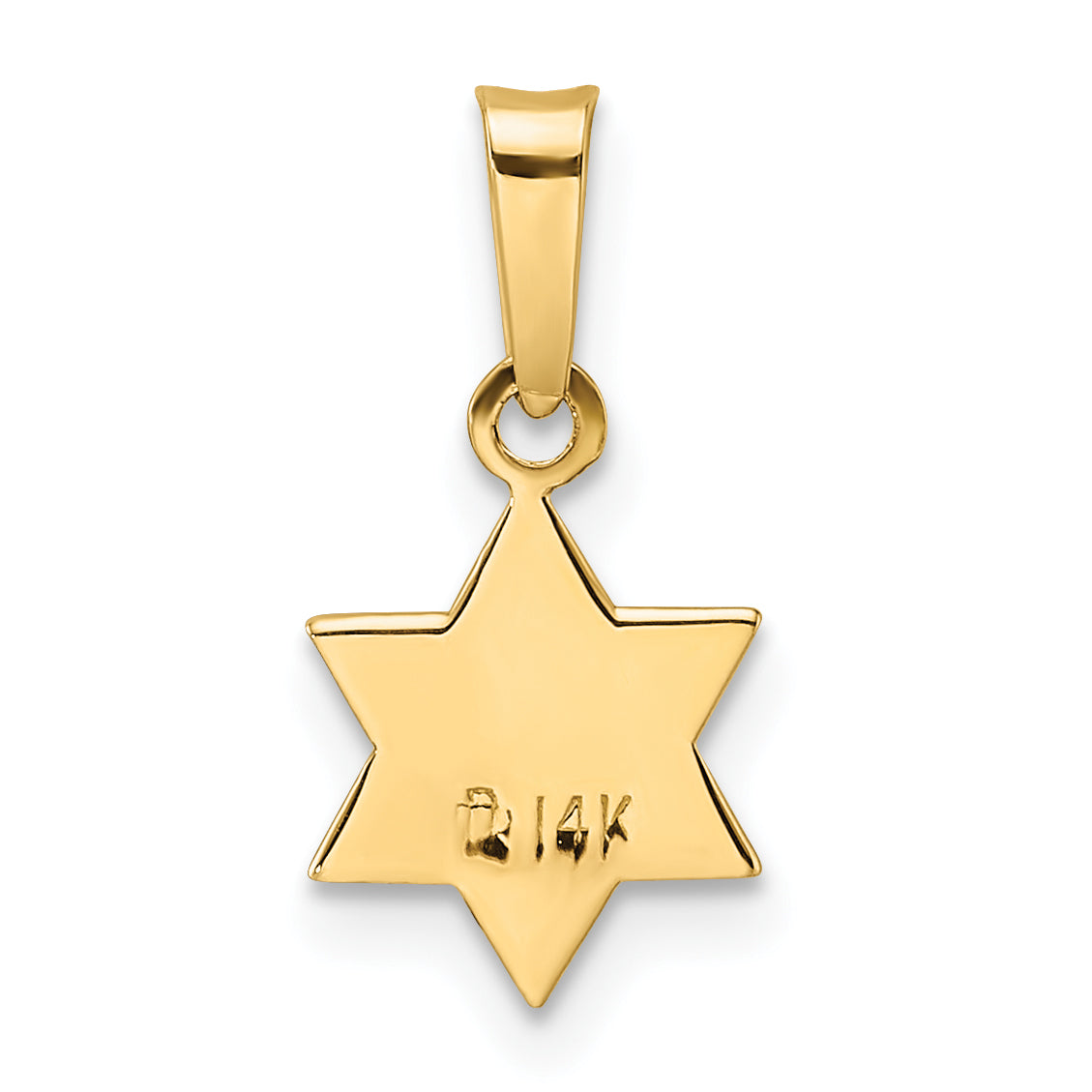 14k Yellow Gold 14k Polished and Enameled Solid Star of David Pendant