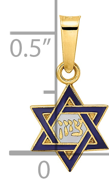 14k Yellow Gold 14k Polished and Enameled Solid Star of David Pendant