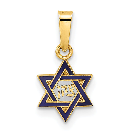 14k Yellow Gold 14k Polished and Enameled Solid Star of David Pendant