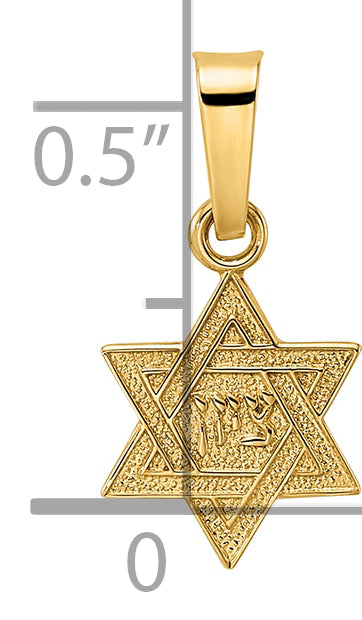 14k Yellow Gold 14k Polished & Textured Solid Star of David Pendant