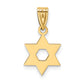 14k Yellow Gold 14k Star of David Pendant