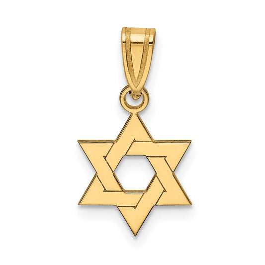 14k Yellow Gold 14k Star of David Pendant