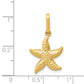 14k Yellow Gold 14k Textured Hollow Starfish Pendant