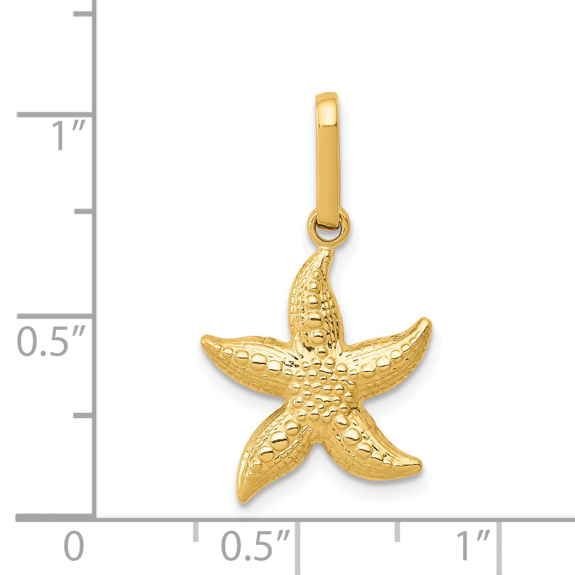 14k Yellow Gold 14k Textured Hollow Starfish Pendant