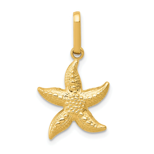 14k Yellow Gold 14k Textured Hollow Starfish Pendant