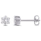 Original Created Forever 1/2 CT TW Lab Created Diamond Hexagon Stud Earrings in 14k White Gold