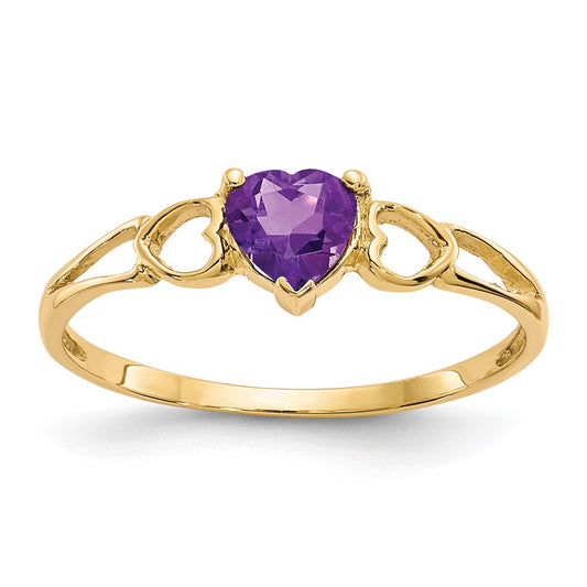 10K Yellow Gold Polished Geniune Amethyst Birthstone Ring