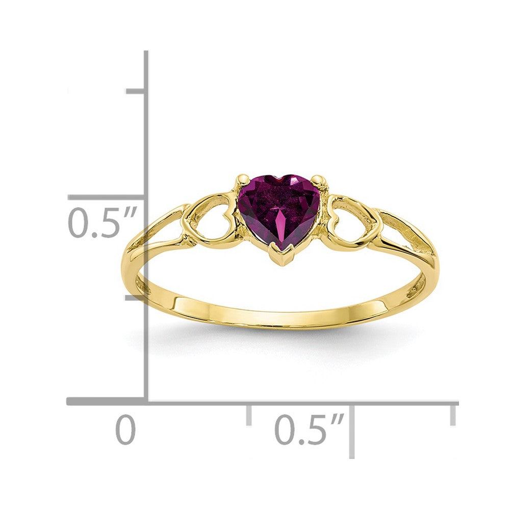 10k Yellow Gold Polished Genuine Rhodolite Garnet Birthstone Ring