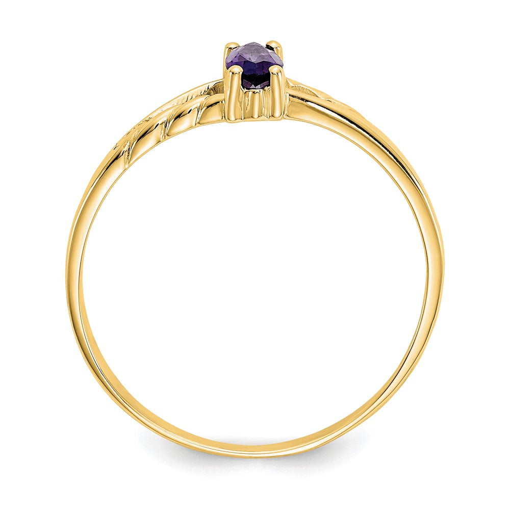 10K Yellow Gold Polished Geniune Amethyst Birthstone Ring