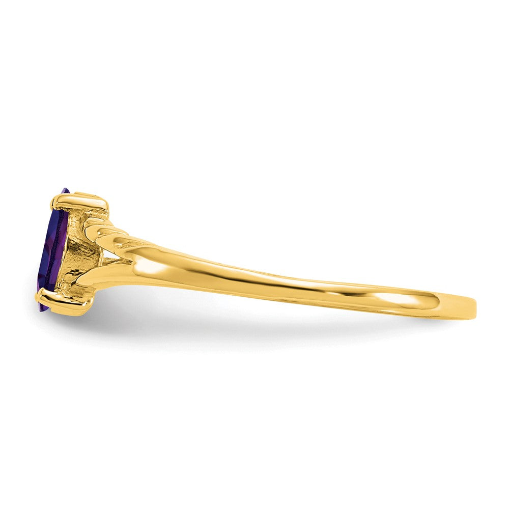 10K Yellow Gold Polished Geniune Amethyst Birthstone Ring