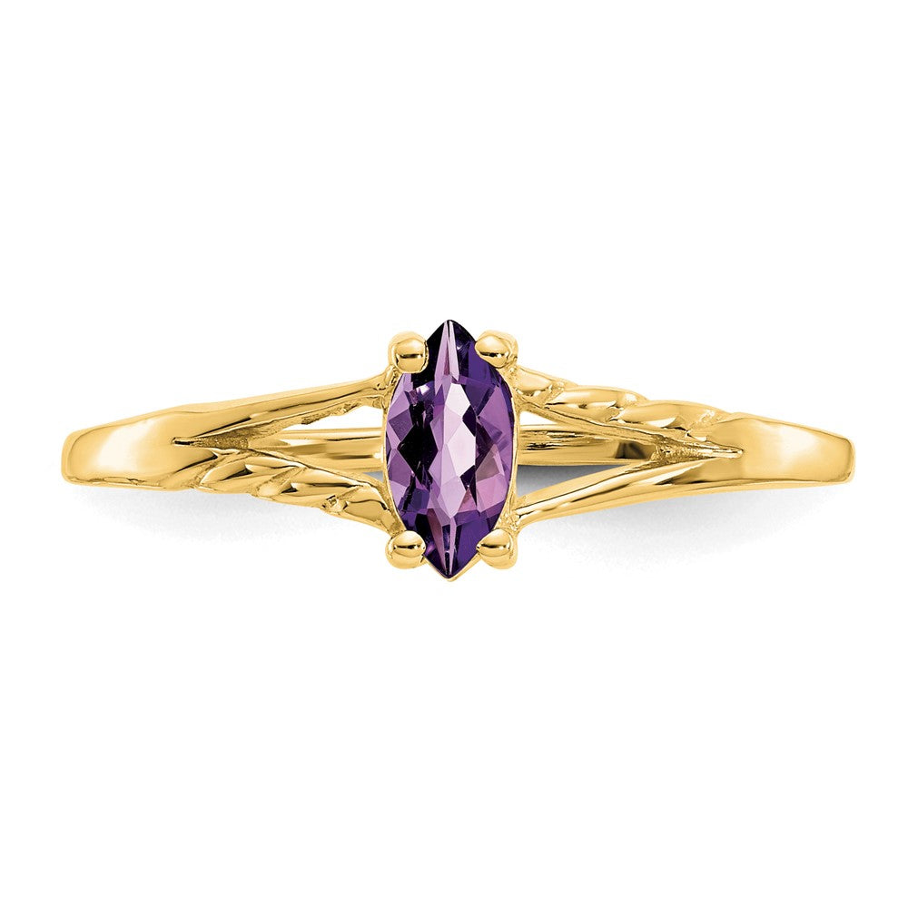 10K Yellow Gold Polished Geniune Amethyst Birthstone Ring