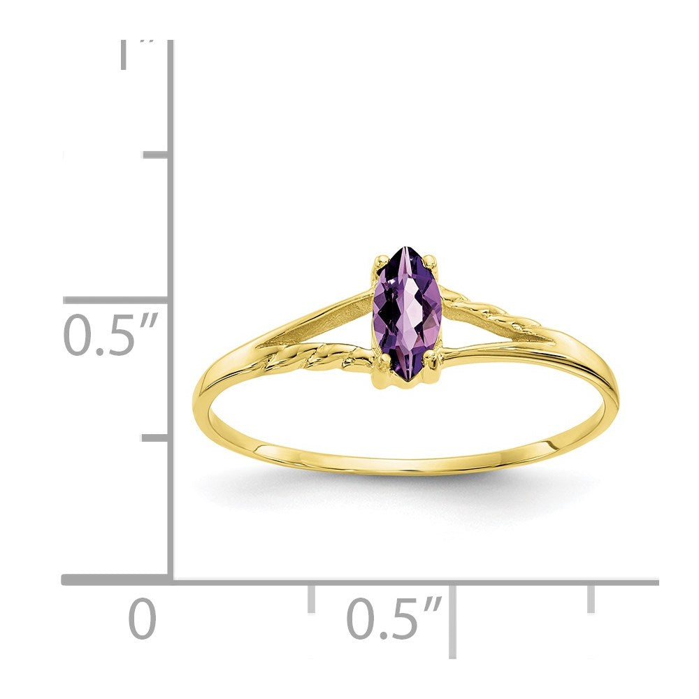 10K Yellow Gold Polished Geniune Amethyst Birthstone Ring