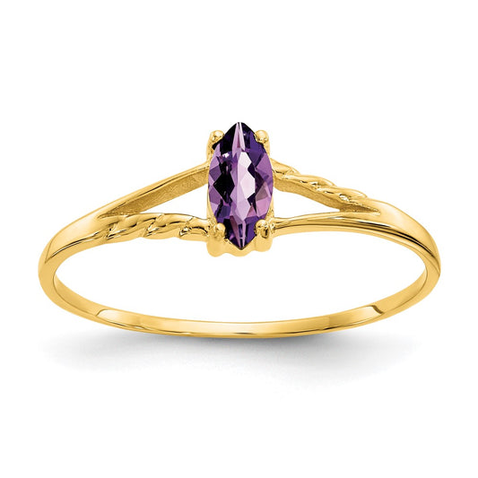 10K Yellow Gold Polished Geniune Amethyst Birthstone Ring