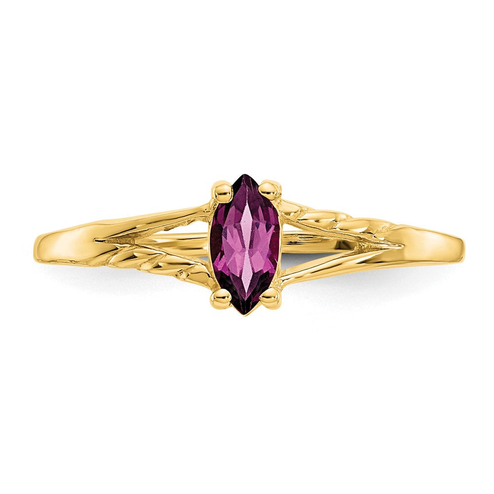 10k Yellow Gold Polished Genuine Rhodolite Garnet Birthstone Ring