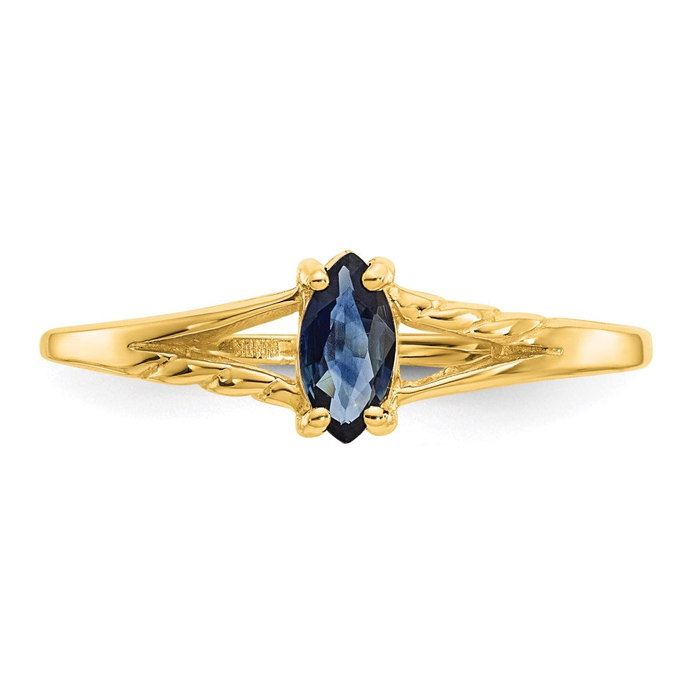 10K Yellow Gold Polished Geniune Sapphire Birthstone Ring