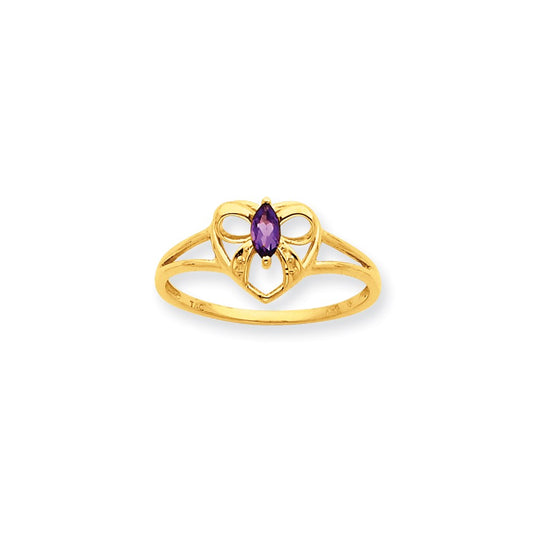 10K Yellow Gold Polished Geniune Amethyst Birthstone Ring