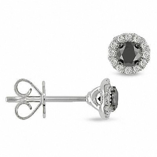 0.5 CT. T.W. Enhanced Black and White Diamond Framed Stud Earrings in 14K White Gold