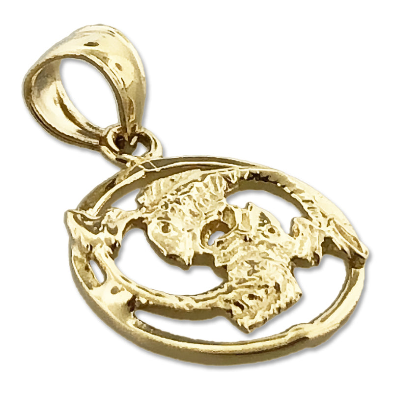 14K Gold Pisces Zodiac Circle Charm