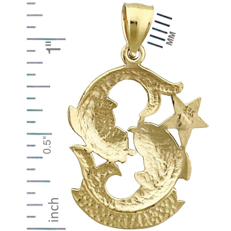 14K Gold 20MM Zodiac Pisces Charm