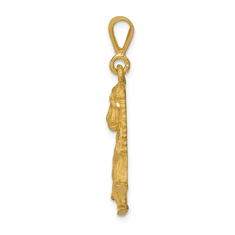 14k Yellow Gold Lion Charm