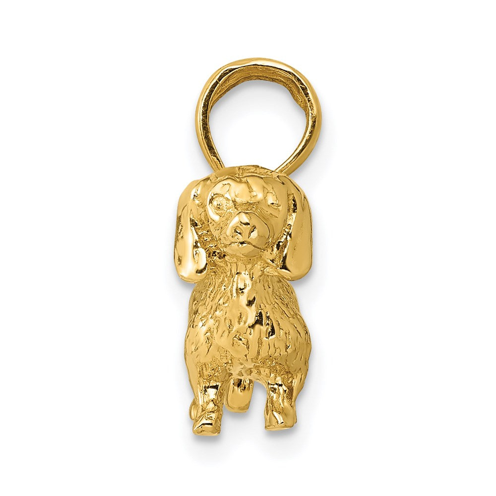 14k Yellow Gold Solid Polished 3-D Wire Haired Dachshund Charm