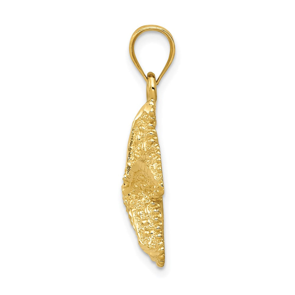 14k Yellow Gold Polished Open-Backed Starfish Pendant