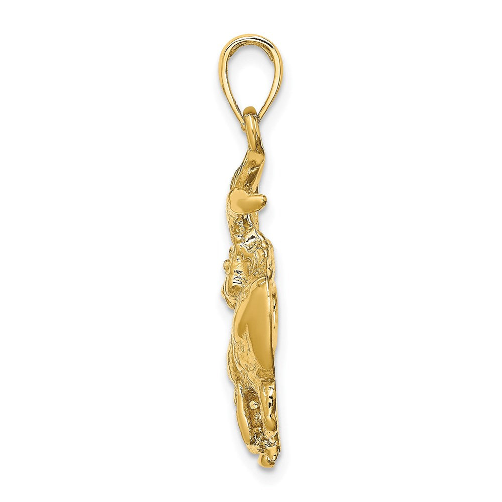 14k Yellow Gold Large Taurus Zodiac Charm