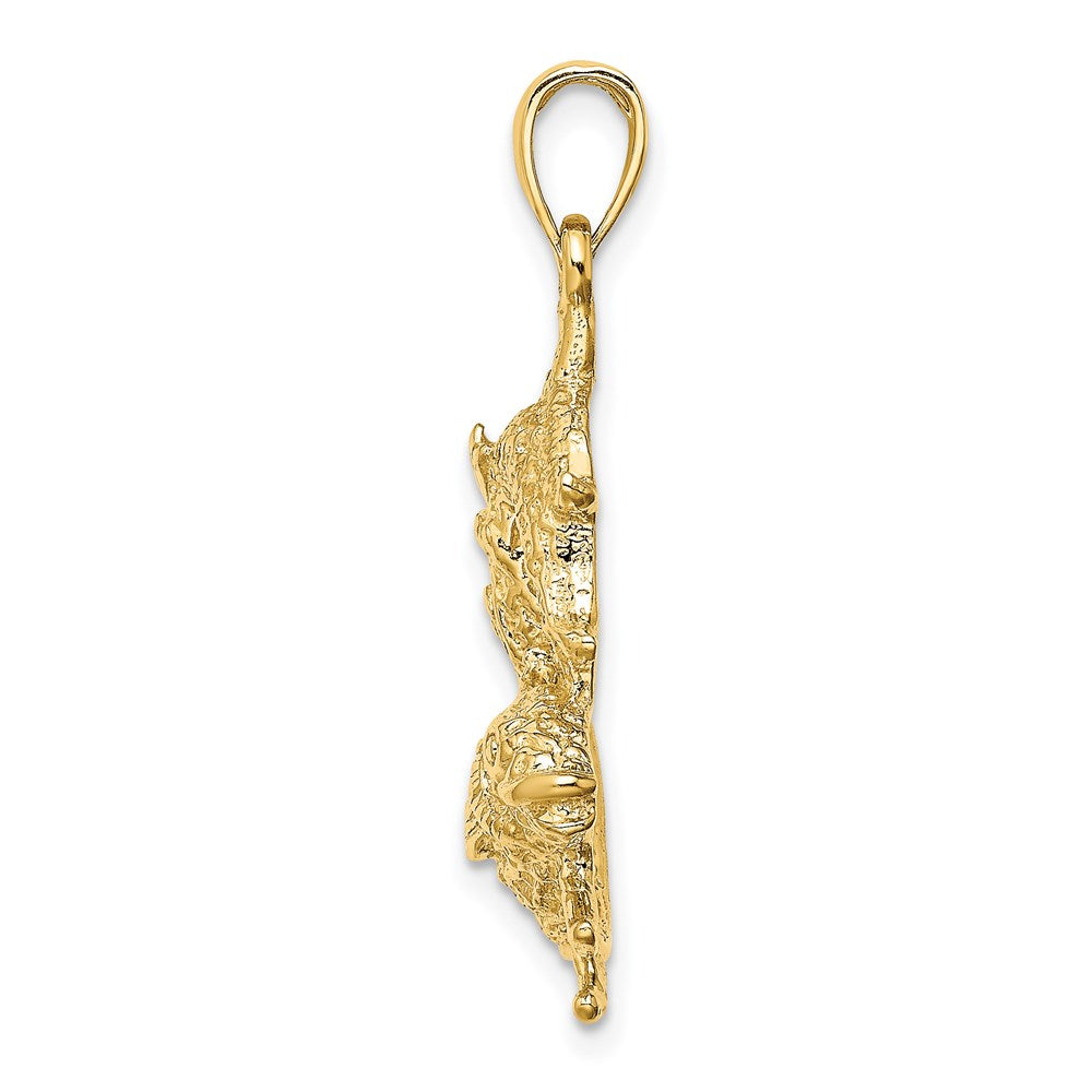 14k Yellow Gold Large Pisces Zodiac Charm