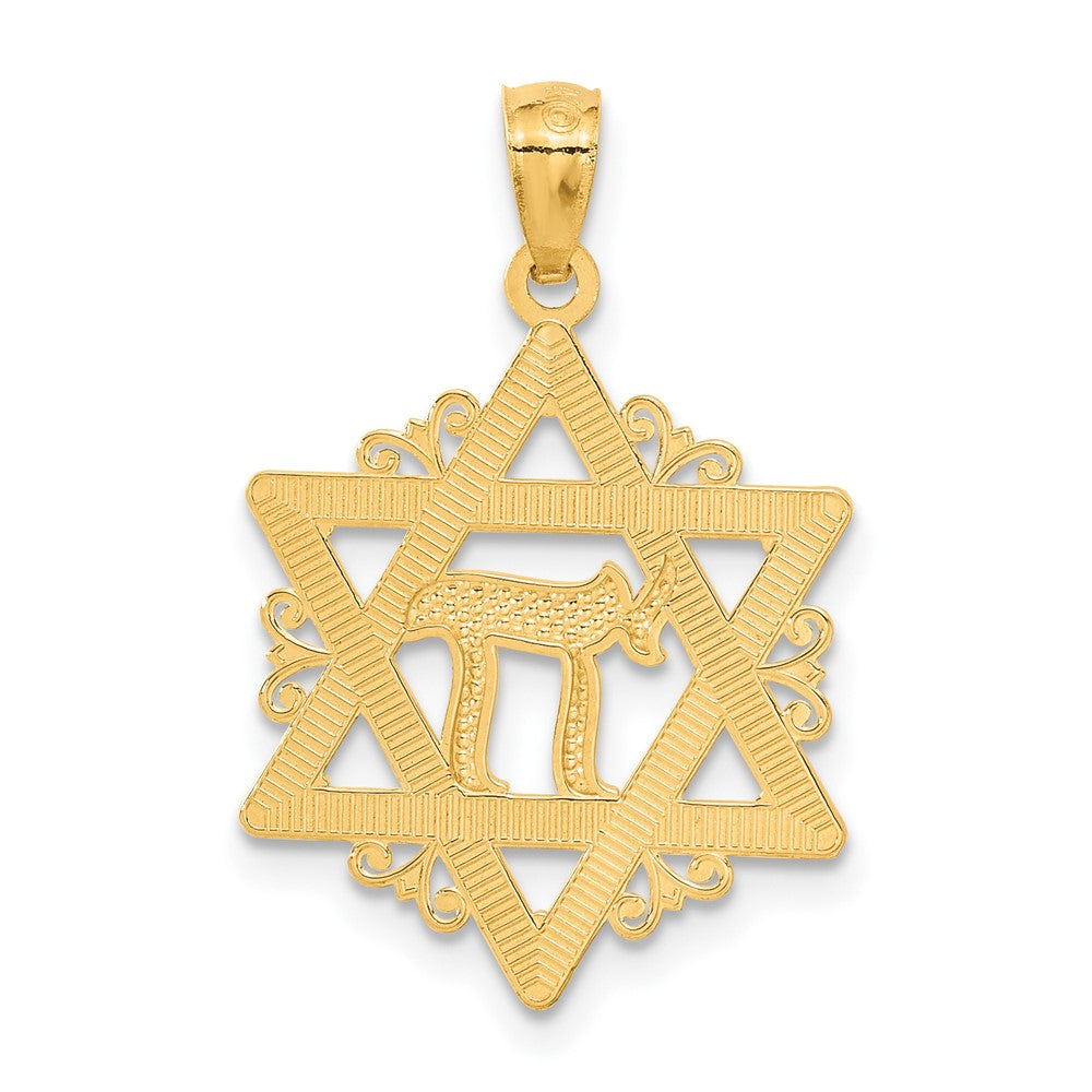 14k Yellow & Rhodium Gold w/Rhodium Star of David Pendant