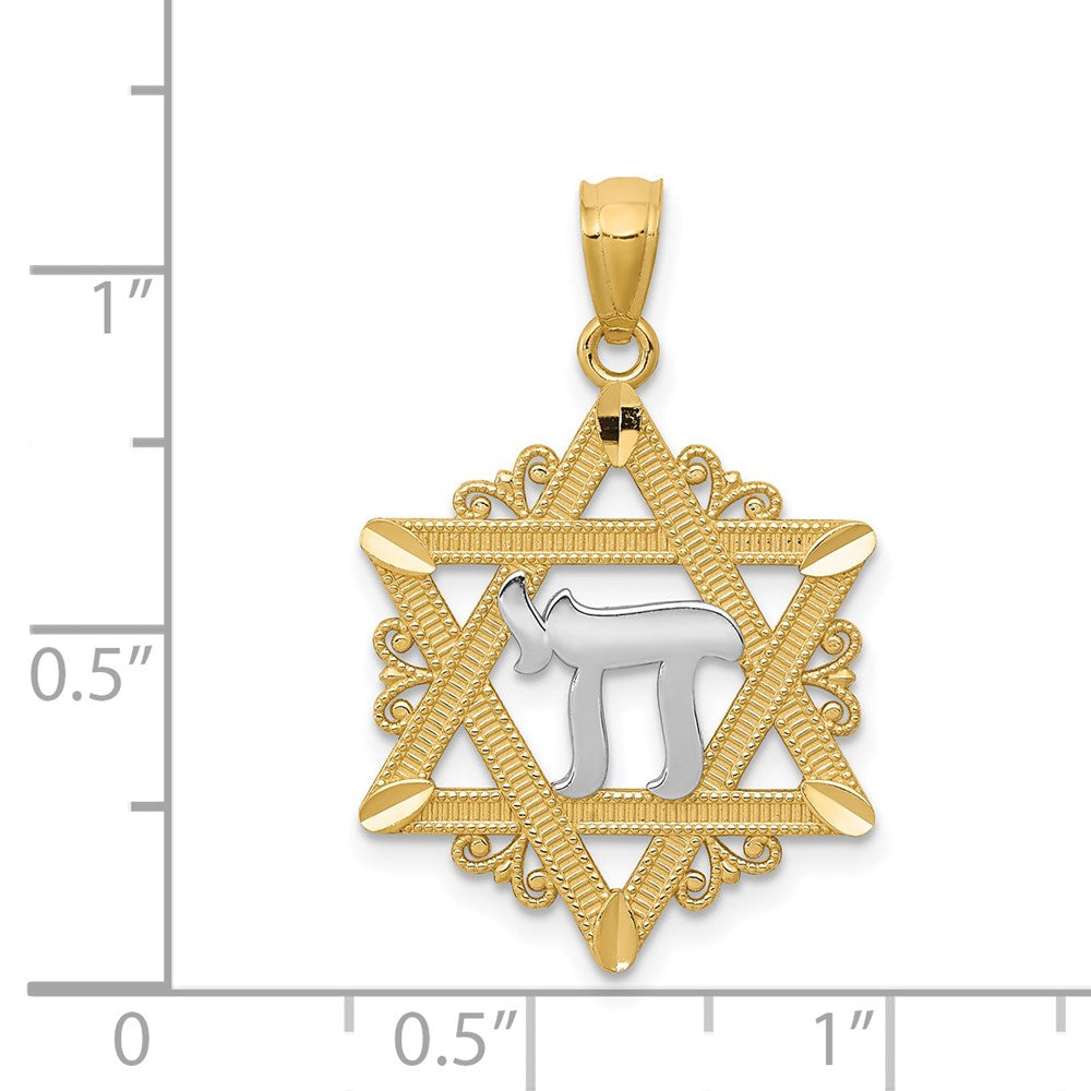 14k Yellow & Rhodium Gold w/Rhodium Star of David Pendant