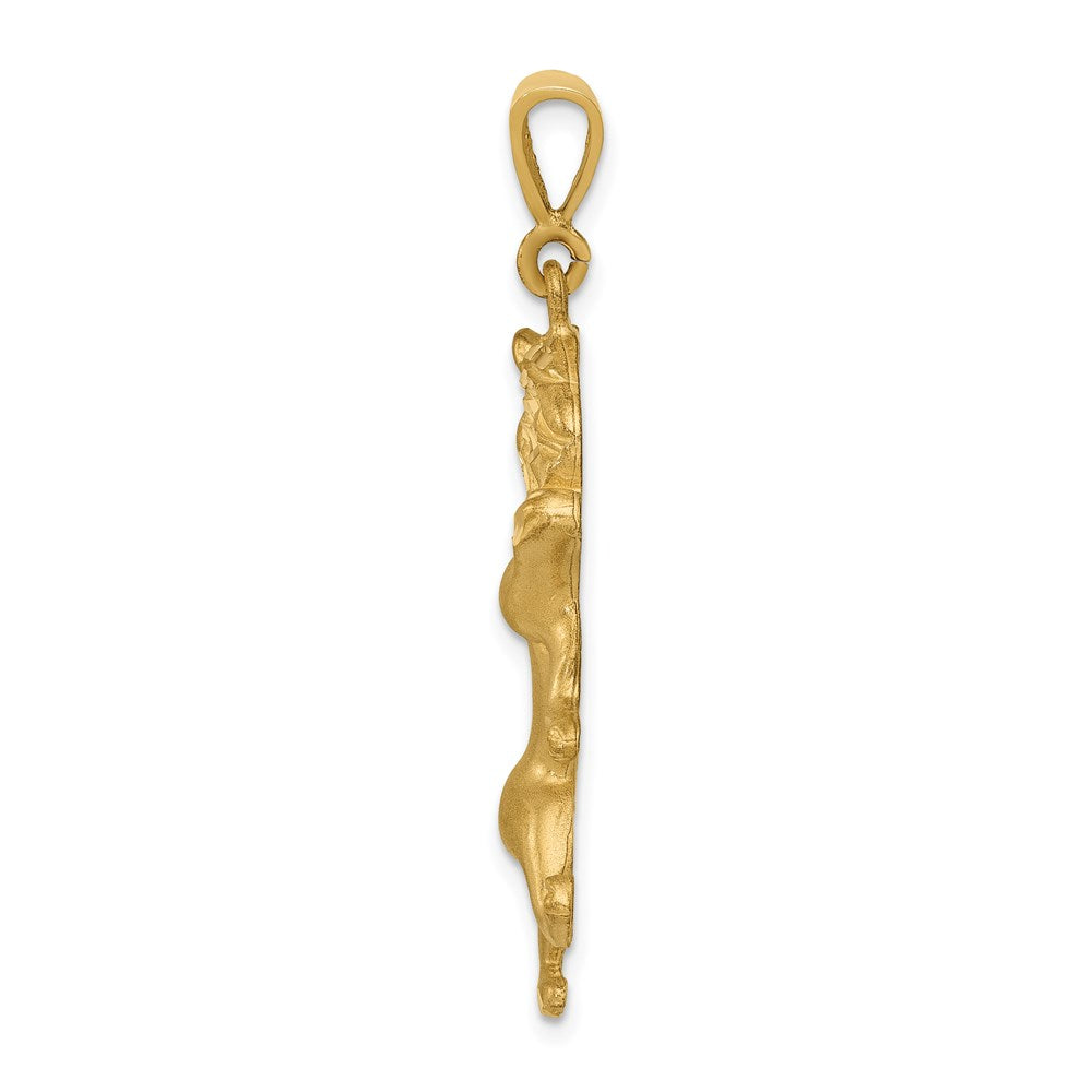 14k Yellow Gold Satin Diamond-cut Leo Zodiac Charm