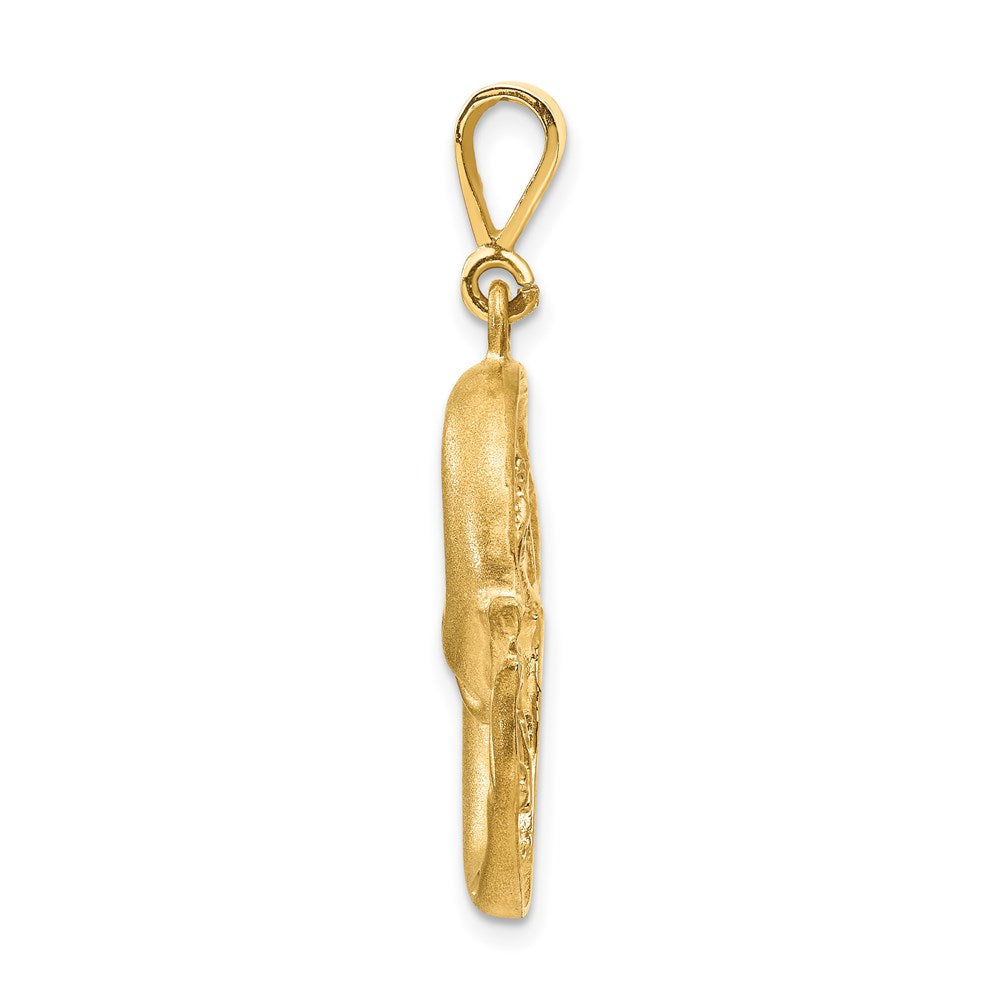 14k Yellow Gold Satin Diamond-cut Pisces Zodiac Charm