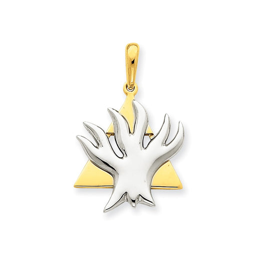 14k Two-tone Gold Fancy Star of David Pendant