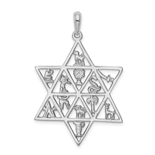 14k White Gold 12 Tribes Star of David Pendant