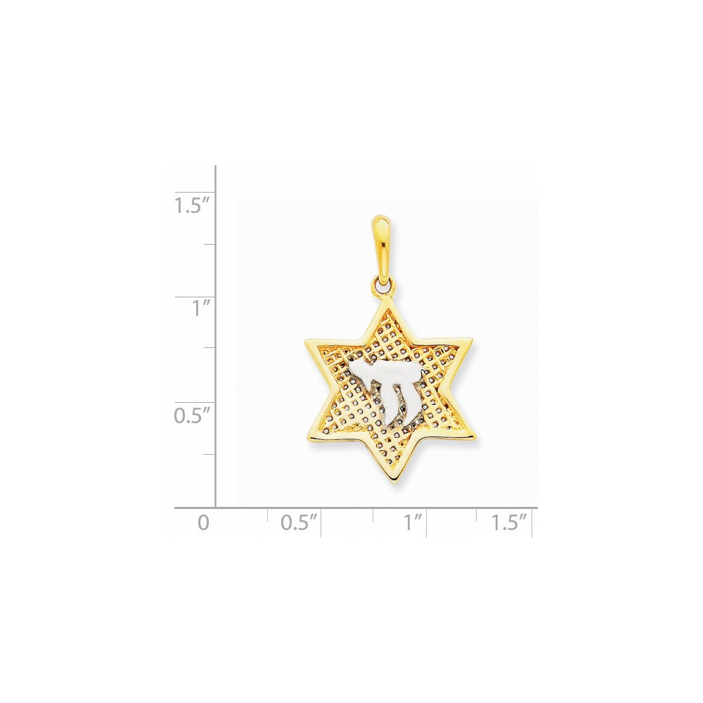 14k Yellow & Rhodium Gold w/Rhodium Mesh Star Of David w/Chai Pendant