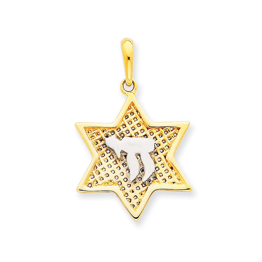 14k Yellow & Rhodium Gold w/Rhodium Mesh Star Of David w/Chai Pendant