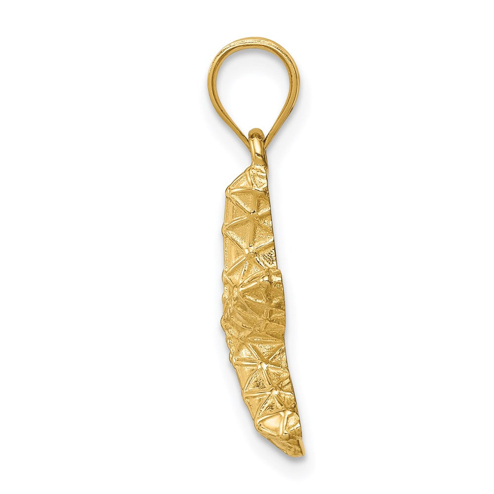 14k Yellow Gold Polished & Textured Starfish Pendant