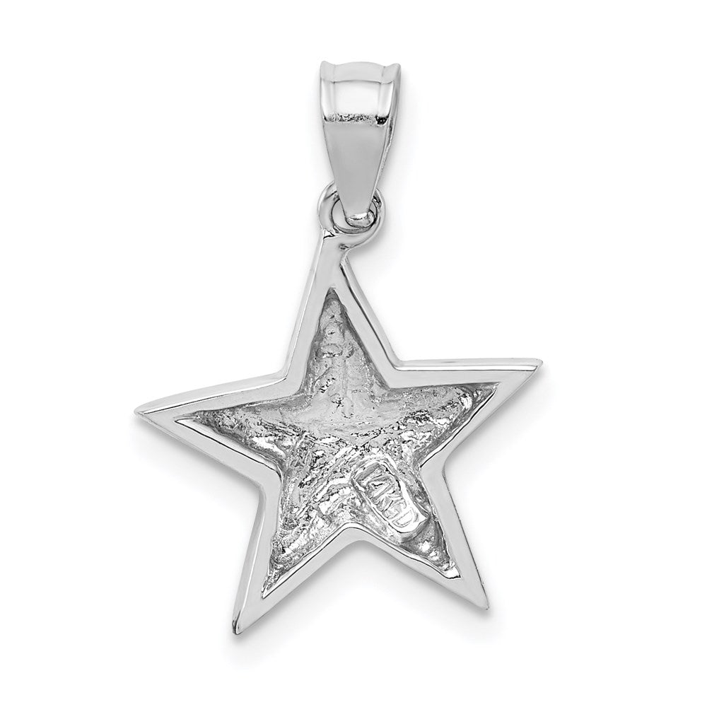 14k White Gold White Polished Star Pendant