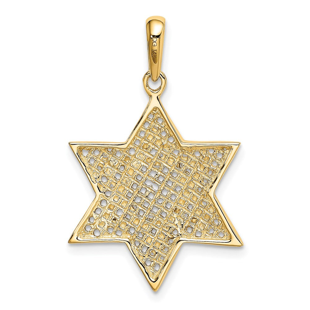 14k Yellow & Rhodium Gold w/Rhodium Solid Mesh Star Of David Charm