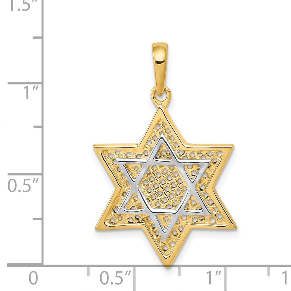 14k Yellow & Rhodium Gold w/Rhodium Solid Mesh Star Of David Charm