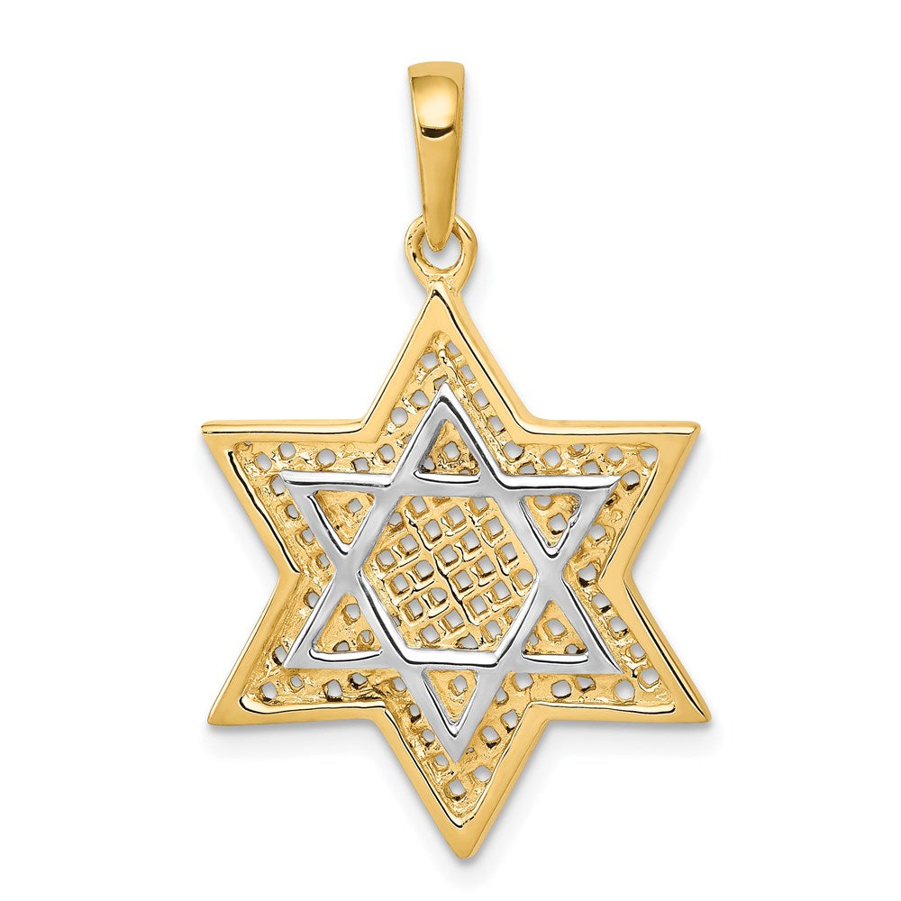 14k Yellow & Rhodium Gold w/Rhodium Solid Mesh Star Of David Charm