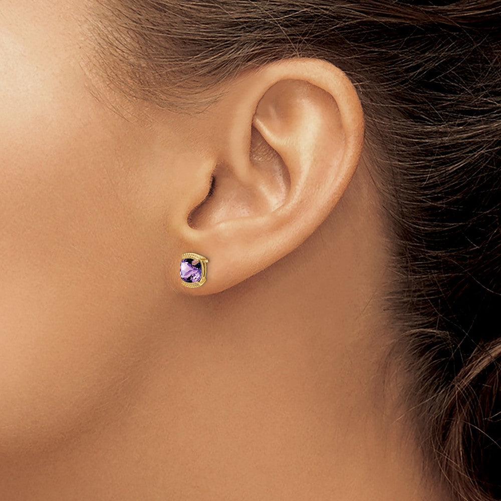 14k Yellow Gold Amethyst Post Earrings