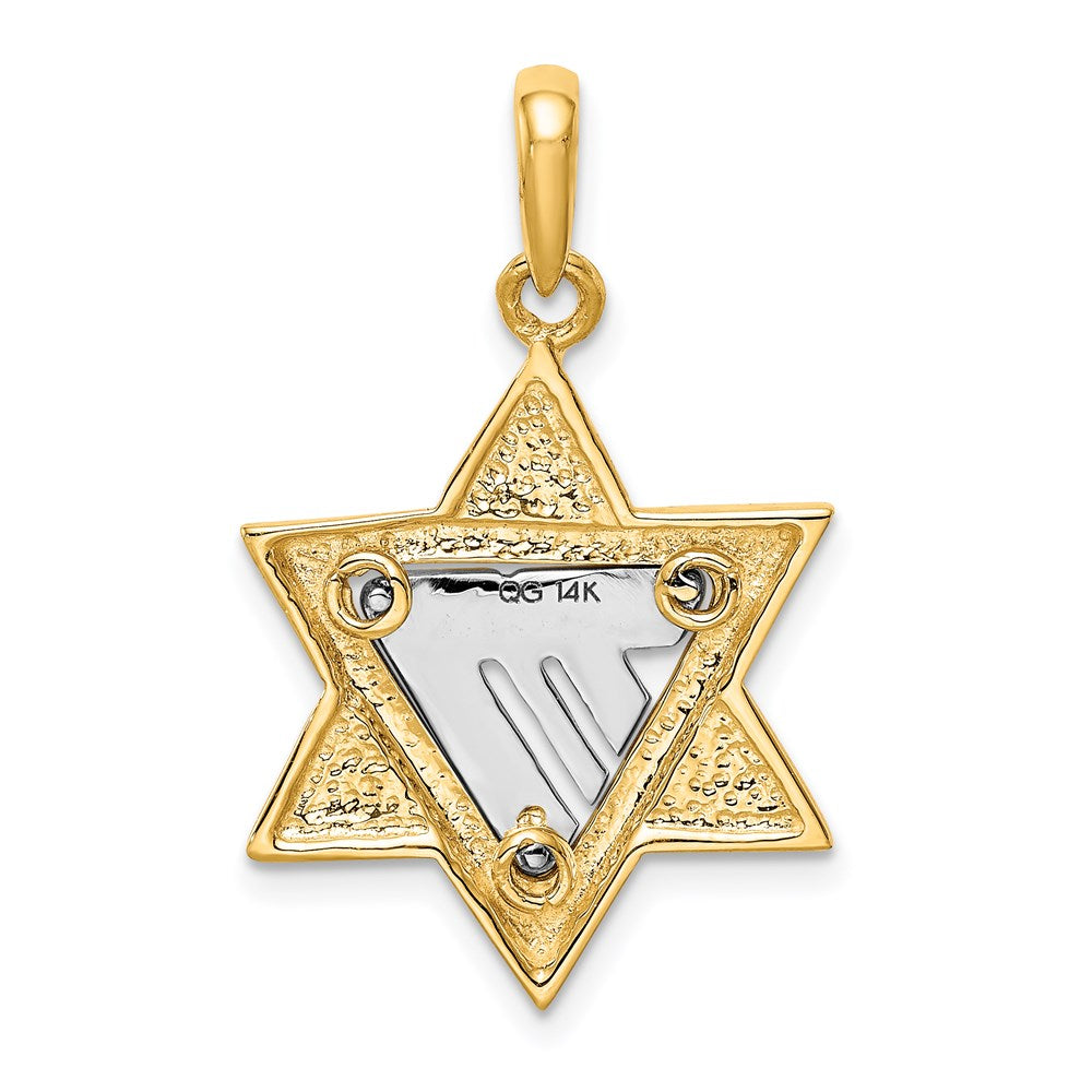 14k Two-tone Gold Star of David Pendant